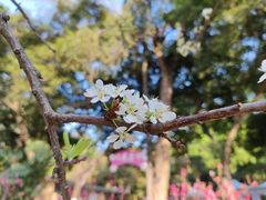 -桃花涧