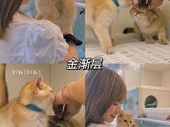 -lincat·猫舍(广州店)