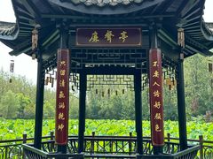 -合肥滨湖国家森林公园