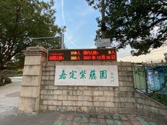 -嘉定紫藤园