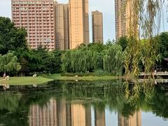 -堤角公园