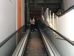 -成都泰迪熊博物馆