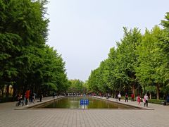 -玲珑塔公园
