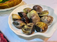 -鲜入围煮花胶鸡海鲜火锅
