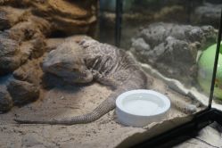 -酷嗒动物文化乐园(cutezoo西溪乐天城店)