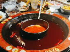 -矮板凳老火锅(宽窄巷子店)