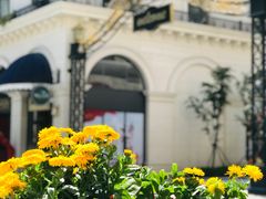 -绿城玫瑰园酒店-遇见19楼餐厅(舟山绿城玫瑰园酒店店)