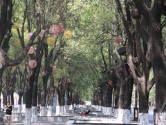 -汉长安城未央宫国家考古遗址公园