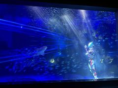 -顺德南宏海立方海洋公园