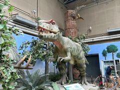 -国家自然博物馆