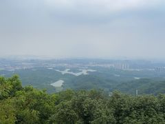 -大屏嶂森林公园