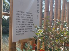 -上海醉白池公园