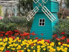 -南宫五洲植物乐园