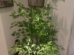 -和里合·颜愈SPA·Relax瑶浴·Massage(石厦店)