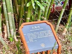 -望江楼公园