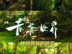-青青世界