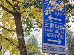 -三里屯东五街银杏大道