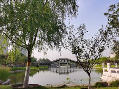 -西海子公园
