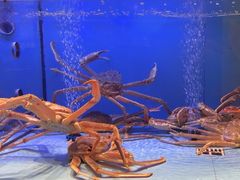 -阿伟海鲜楼·福建菜(延寿店)