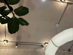 -小团圆糖水铺(襄阳南路店)