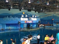海豚表演-苏州海洋馆