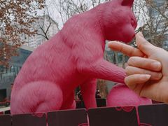 -西安电影制片厂