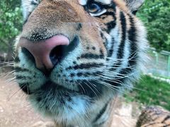 -栾川竹海野生动物园