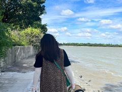 -贡湖湾湿地公园