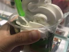-Salud撒露欧洲冻酸奶(北苑上品店)