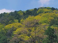 -泰山风景名胜区