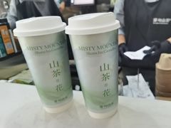 -雾与山茶(大禹城店)
