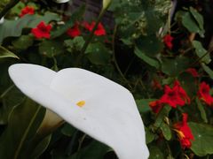 -海窝子古镇