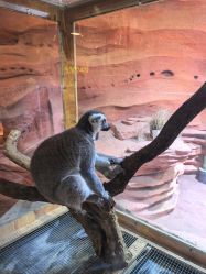 -Zoolung Zoolung动物主题公园(海信广场店)