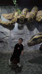 -Zoolung Zoolung动物主题公园(海信广场店)