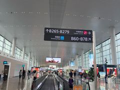 -广州白云国际机场-T2航站楼