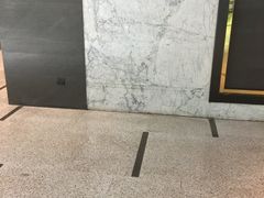 -Alexander McQueen(IAPM环贸广场店)