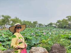 -无锡蠡湖国家湿地公园-蠡园