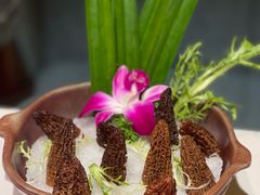 -润泽园椰子鸡(汇一城店)