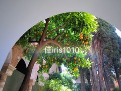 -阿尔罕布拉宫