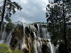 -王牌国际酒店(深圳北站店)