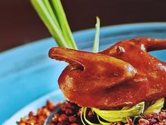 -南堂馆·新川菜(春熙路店)