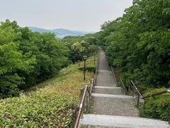 -羊山湖公园