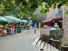 -紫金山山顶公园