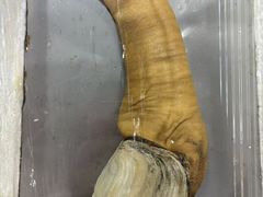 -绿雅居原生态农庄(小涌店)