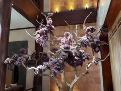 -西安华清御汤酒店