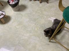 -9A青年公寓(深圳罗湖口岸店)