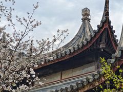 -苏州上方山国家森林公园