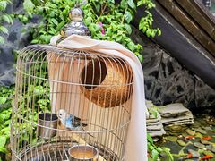 -上席擂茶·新中式青年茶馆(古城店)