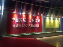 -诸城市恐龙博物馆