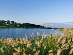 -春花秋色城市公园